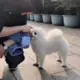 王富贵