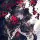 雨燕