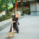 本尊