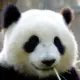 博客大全