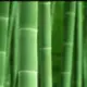 青竹