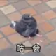 匿名
