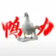 xqyxqy的头像-投影工坊