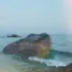 1027939171