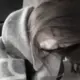 巴黎