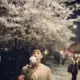 TCY867588334的头像-投影工坊