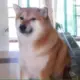 GCQQ的头像-天机阁