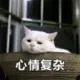 淫兽白泽