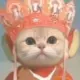 wang123的头像-天机阁