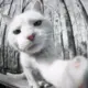 ilikehaku