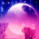 星舞月