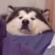 1792830981