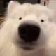 大彬