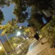 杨少