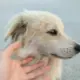 宅男