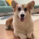 路人
