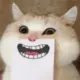 齐