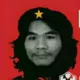 淡水龟