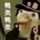 imchao的头像-投影工坊