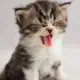 qwer1111