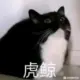 卢克