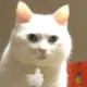 墨染