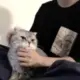 wjsjnd