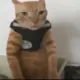 mmmmjjsjjdjd