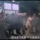 rzm_rm的头像-投影工坊