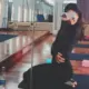 小白兔兔子