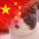 xiaoyou137的头像-天机阁