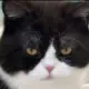 qx
