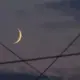 咕噜咕噜的头像-投影工坊