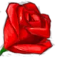 jackymao