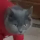 1234