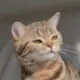 eimen