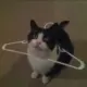 2487689320@的头像-投影工坊