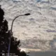 zmxwd11的头像-天机阁