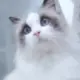 123