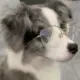 ZOUKER的头像-投影工坊