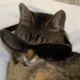 6666