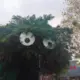 aaaaaaaad的头像-投影工坊