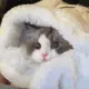 wwweeii的头像-投影工坊