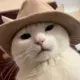 He