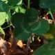 MC123890的头像-投影工坊