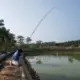 lianghai