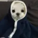 STTTTT