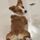 ‭