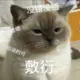 啊铭111的头像-投影工坊