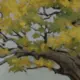 l3171550897的头像-天机阁